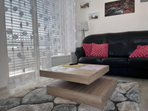 Horský apartmán Nový Javor - s možností využití wellness, Zelezná Ruda